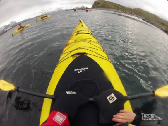 Após tirar uma foto, colocando a mão mais uma vez na luva que acompanha os remos de caiaque, em Prion Island, na Geórgia do Sul